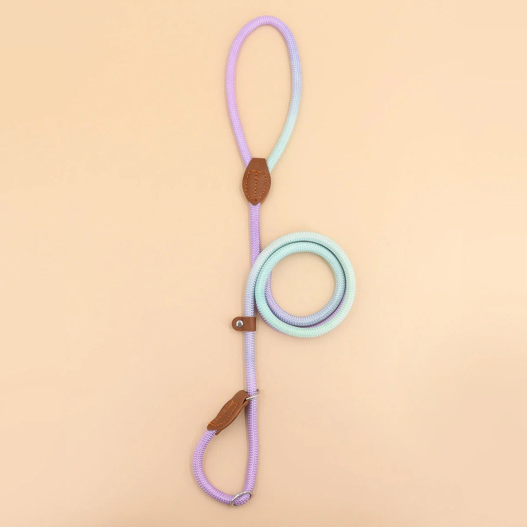 Clémentine Leash – Colorful Dog Leash for Stylish Walking Bowlift