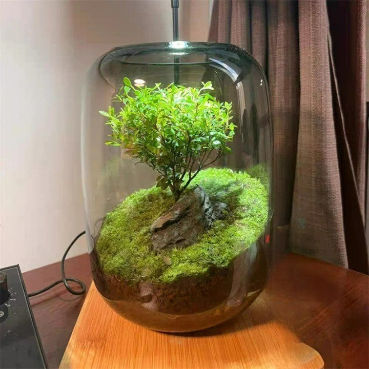 Micro Landscape Green Oasis Glass Vase | Bowlift