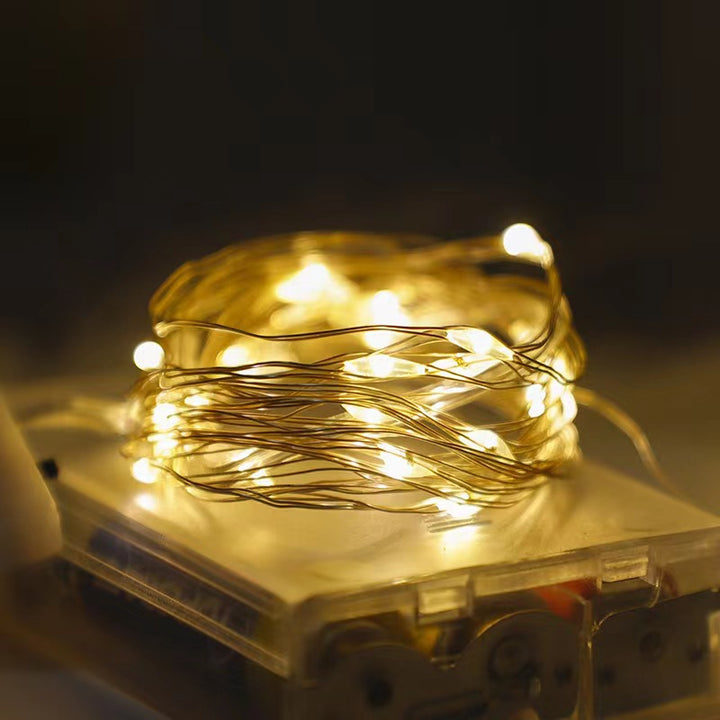LED Copper Wire String Lights with PVC Coating