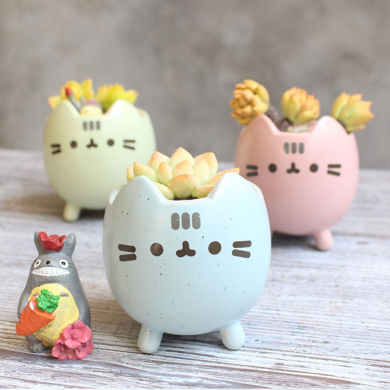 Easy-care Ceramic Garden Box in Box Shape Bowlift