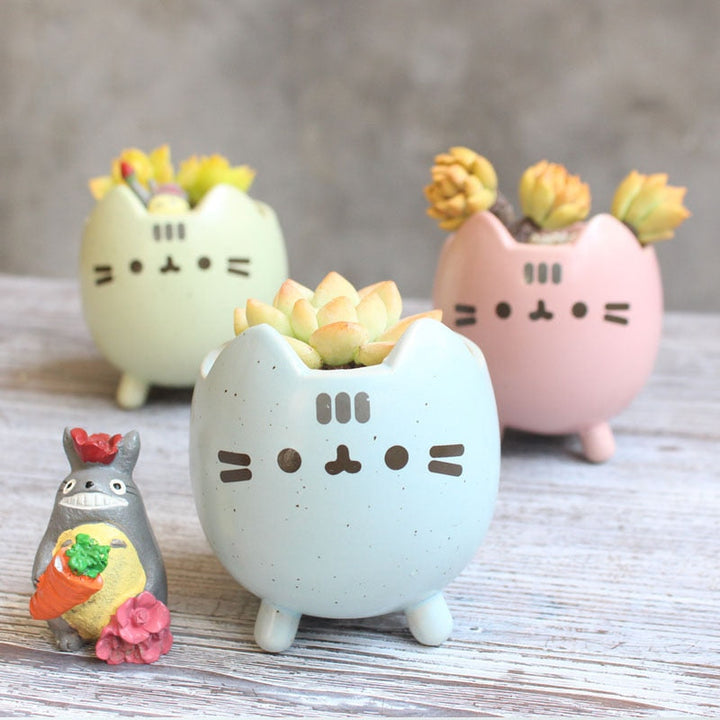 Easy-care Ceramic Garden Box in Box Shape Bowlift
