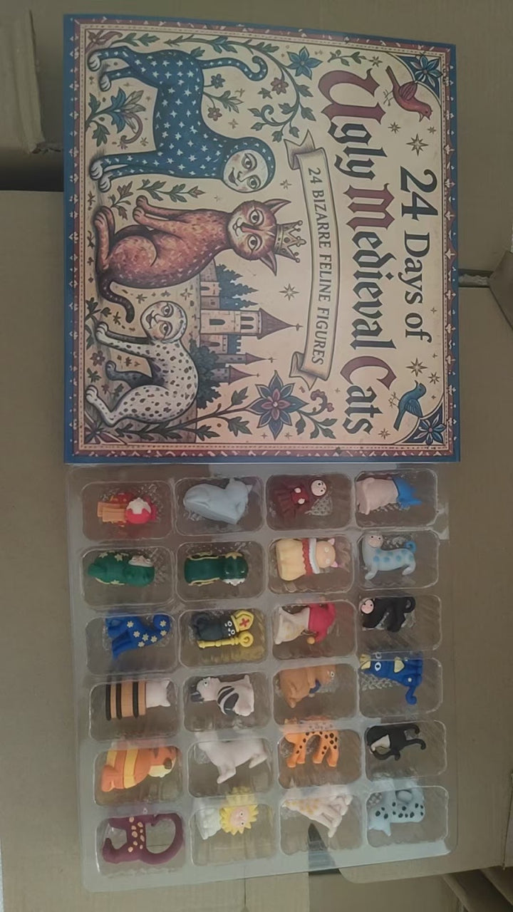 Decorative Animal Advent Calendar Box, Plastic