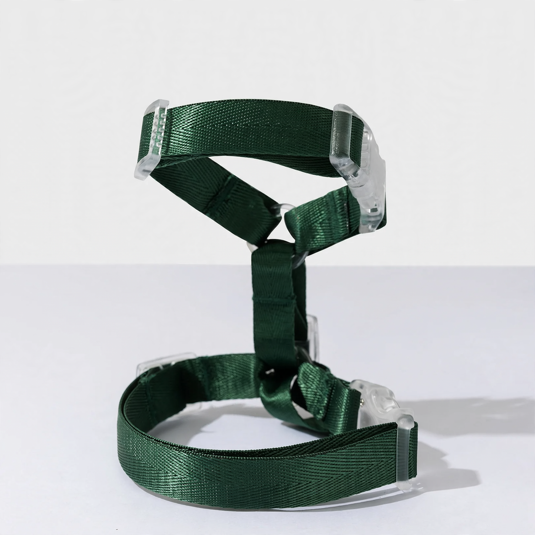 Cat Chest Harness, Polyester, with Light Version