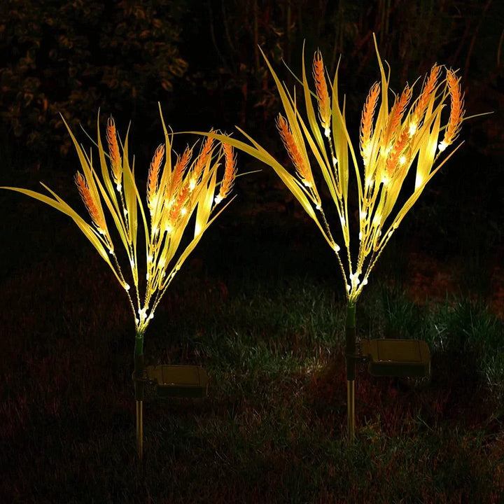 2 piece pack solar wheat ear lights Bowlift