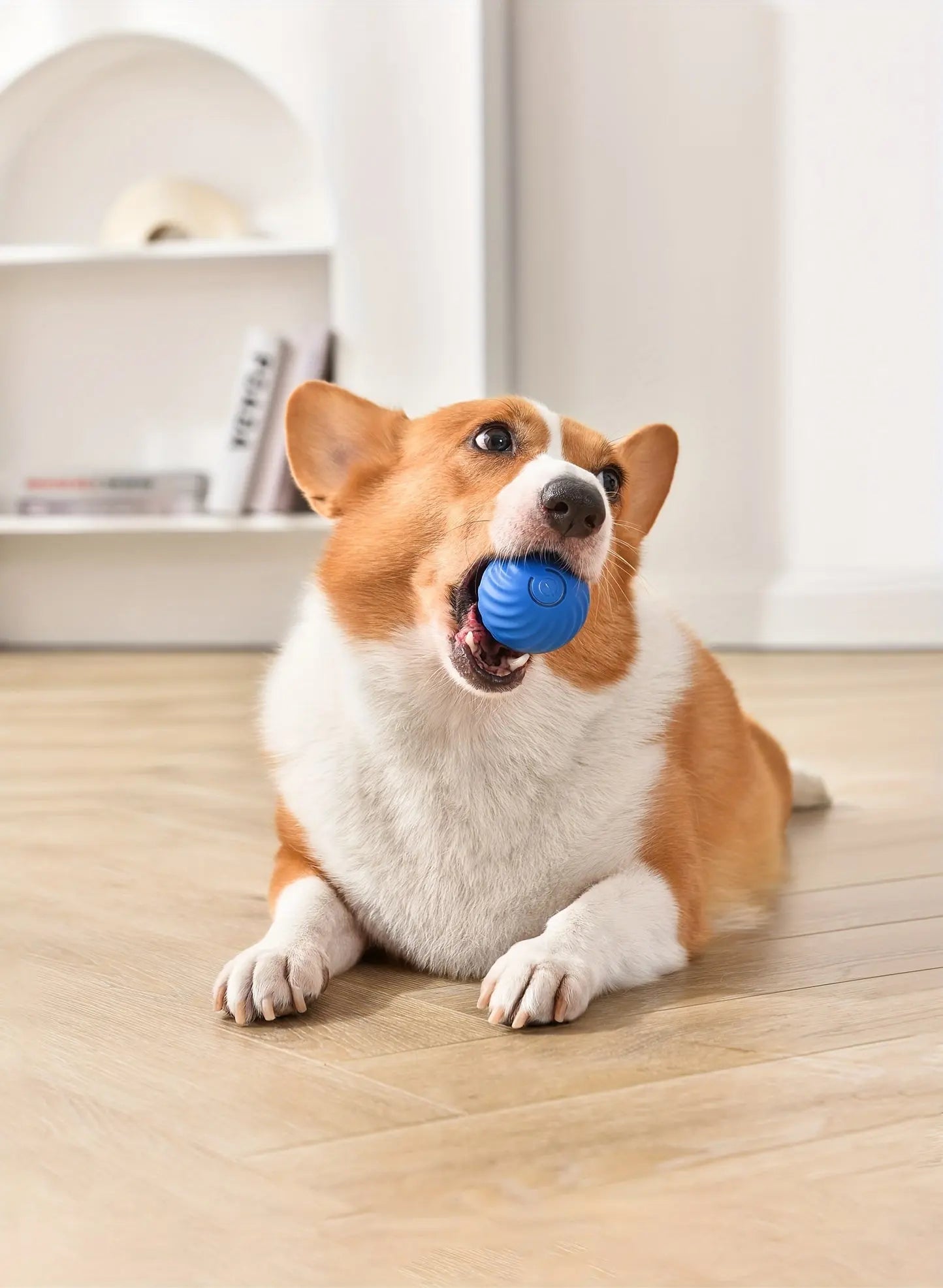 BowLift | 2-in-1 Interactive Hunting Toy for Pets