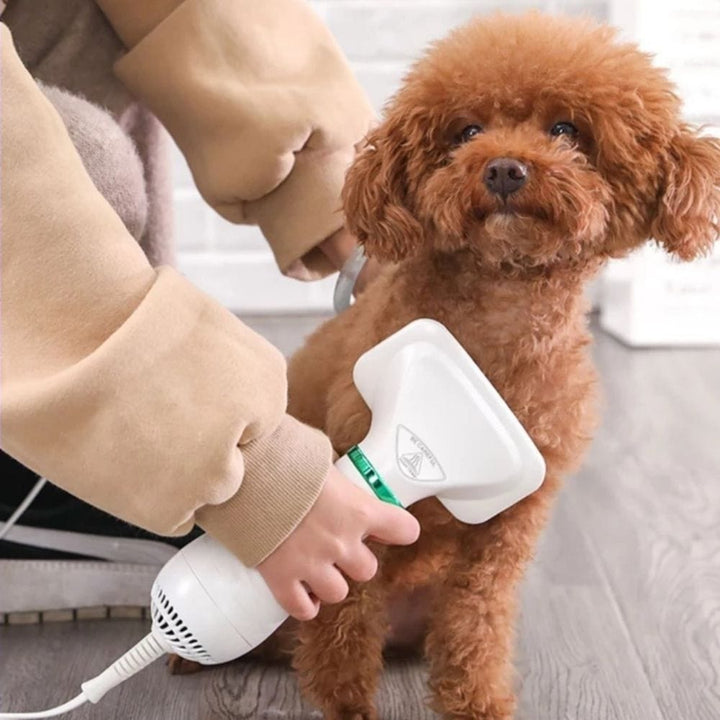 BowLift | 2-in-1 Dog Grooming Dryer