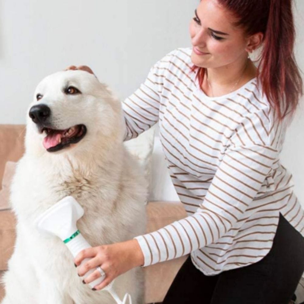 BowLift | 2-in-1 Dog Grooming Dryer