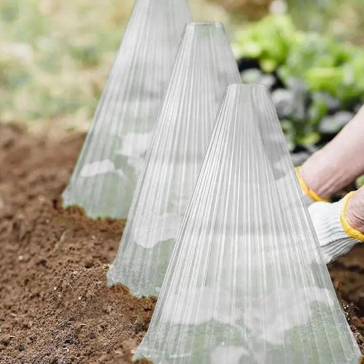 BowLift | 20 pieces plant pRedection caps for seedlings, vegetables & flowers