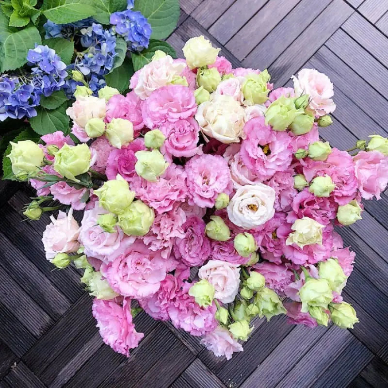 BowLift | 200 Seeds Eustoma - Thornless Rose Seeds – Fast Germination & Long Blooming Period