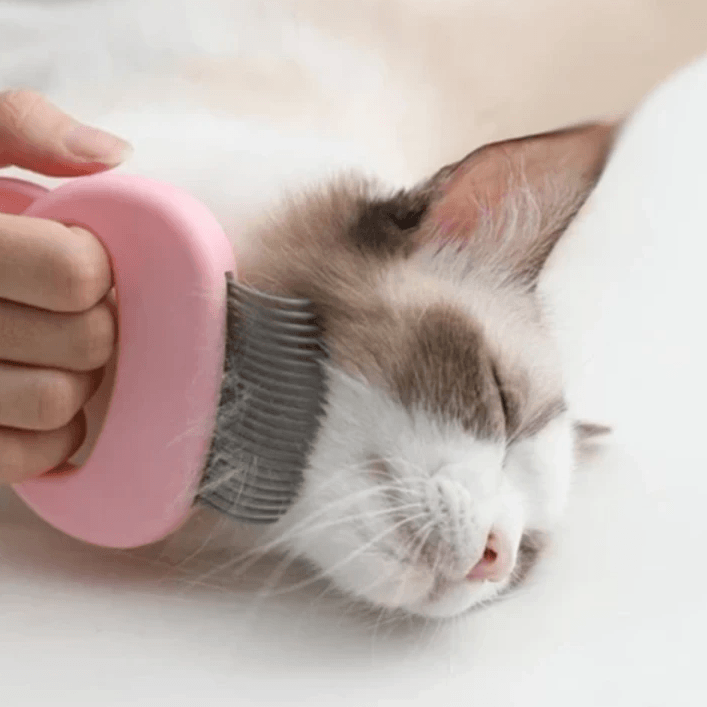 Mini Comb for Pets 2 In 1 | Bowlift