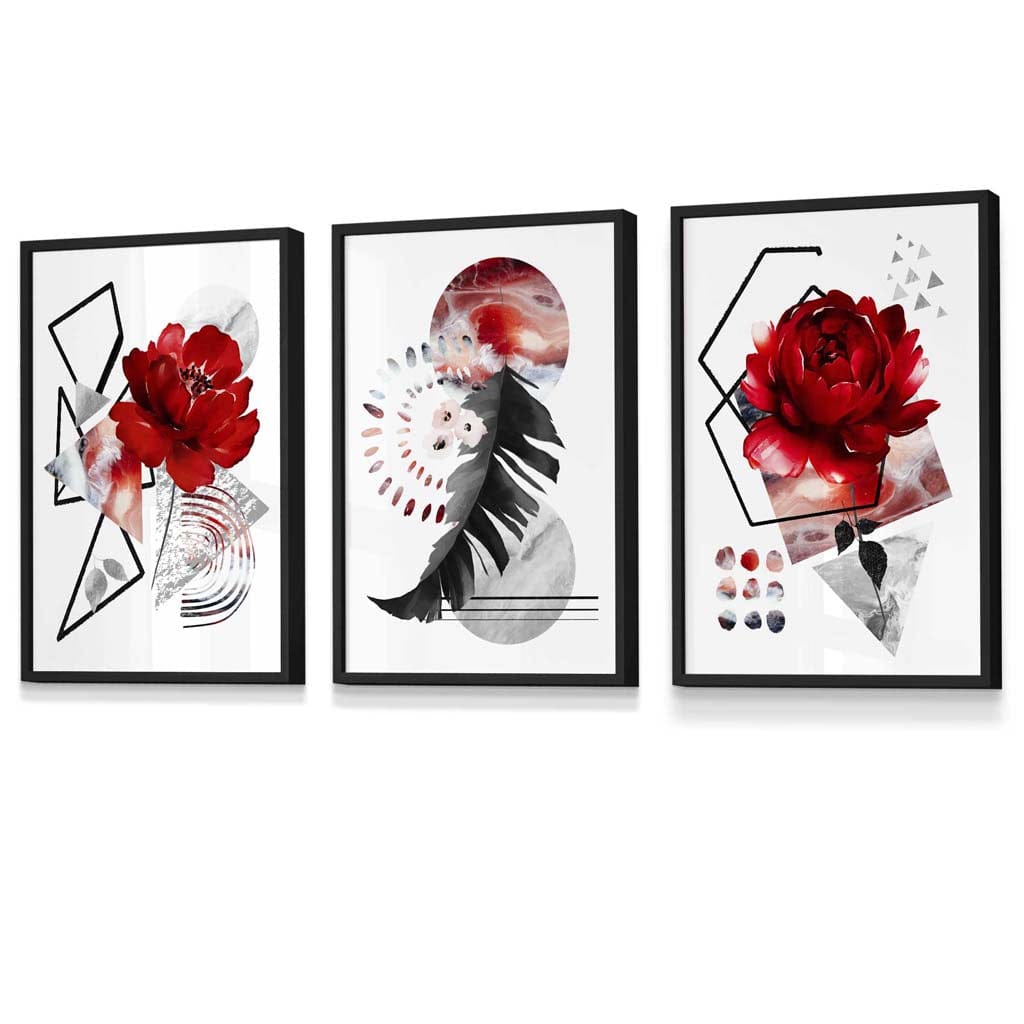 Abstract red and black botanical set of 3 framed wall artworks | Bowlift