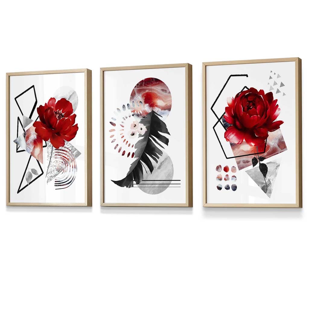 Abstract red and black botanical set of 3 framed wall artworks | Bowlift