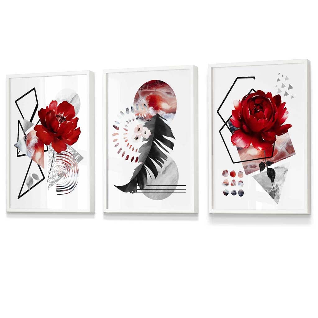 Abstract red and black botanical set of 3 framed wall artworks | Bowlift