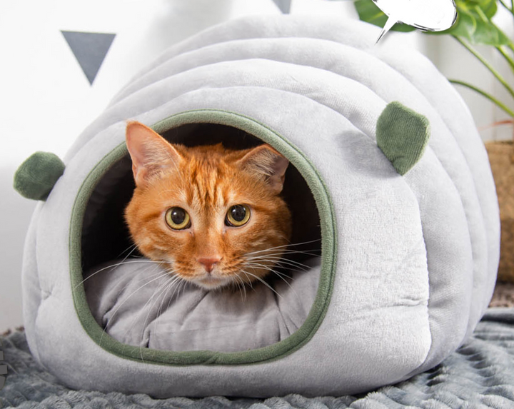 BowLift | 2-in-1 Foldable & Washable Velvet Self-Warming Cave/Nest with Sleeping Bed for Cats and Small Dogs, Suitable for Indoor or Outdoor (Green)
