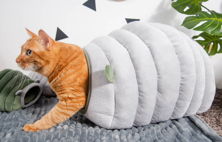BowLift | 2-in-1 Foldable & Washable Velvet Self-Warming Cave/Nest with Sleeping Bed for Cats and Small Dogs, Suitable for Indoor or Outdoor (Green)