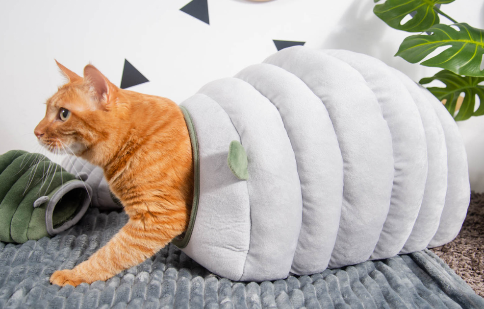 BowLift | 2-in-1 Foldable & Washable Velvet Self-Warming Cave/Nest with Sleeping Bed for Cats and Small Dogs, Suitable for Indoor or Outdoor (Green)
