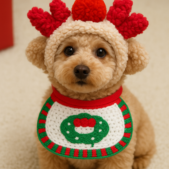 Christmas outfits for dogs Bowlift