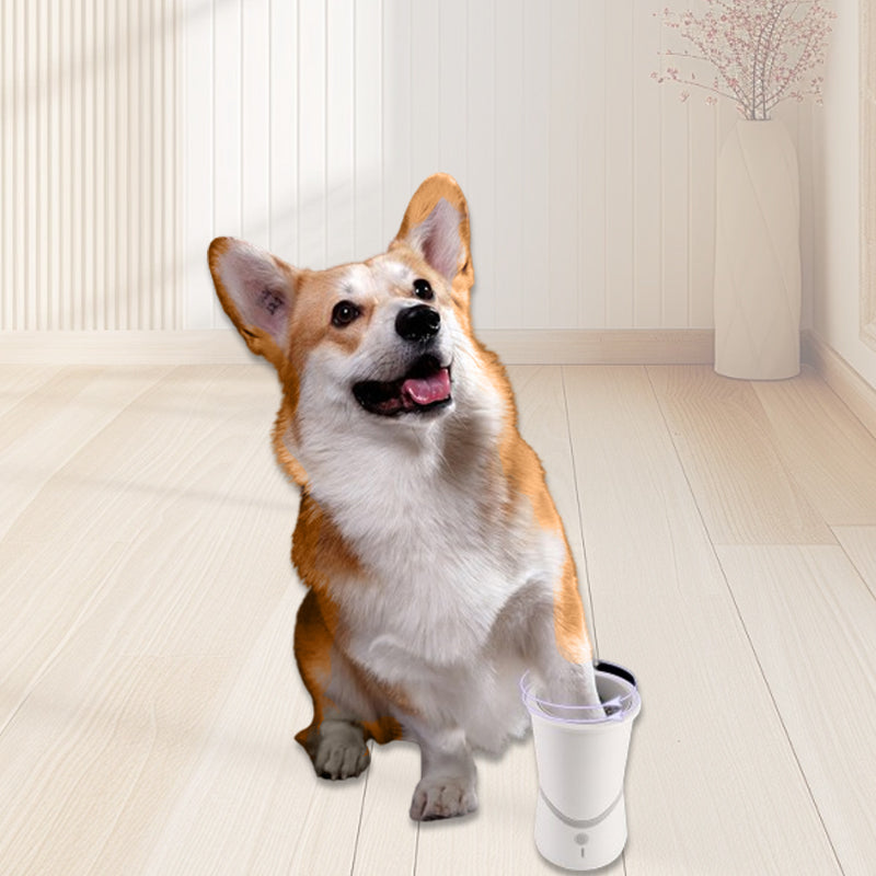 BowLift | PawPerfection — Clean paws, stress-free walks full of feel-good moments