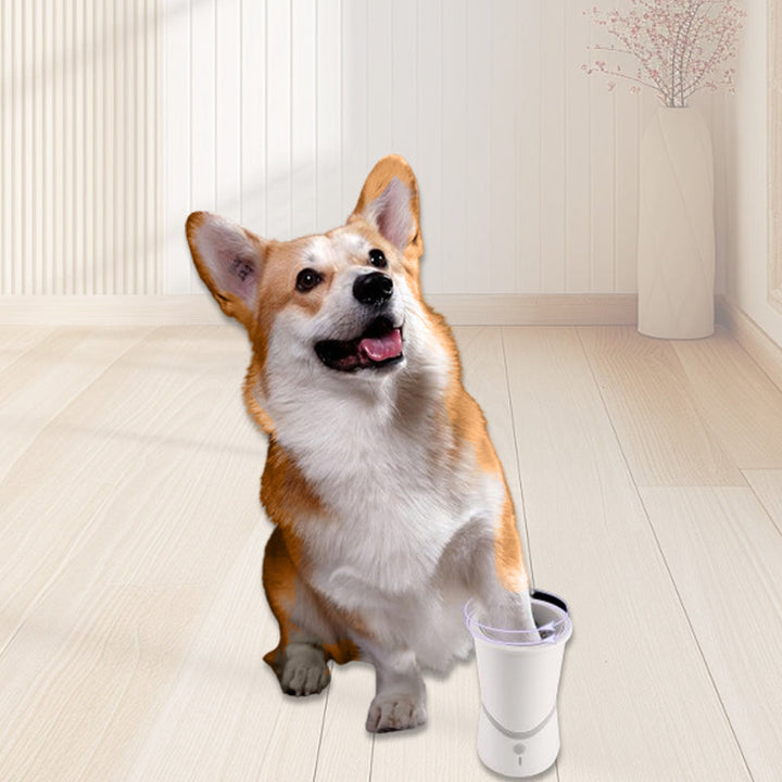 BowLift | PawPerfection — Clean paws, stress-free walks full of feel-good moments