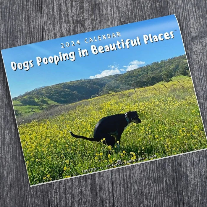 Funniest Calendar-Dogs Pooping in Beautiful Places | "Artistic Expression" of Furry Friends | Bowlift