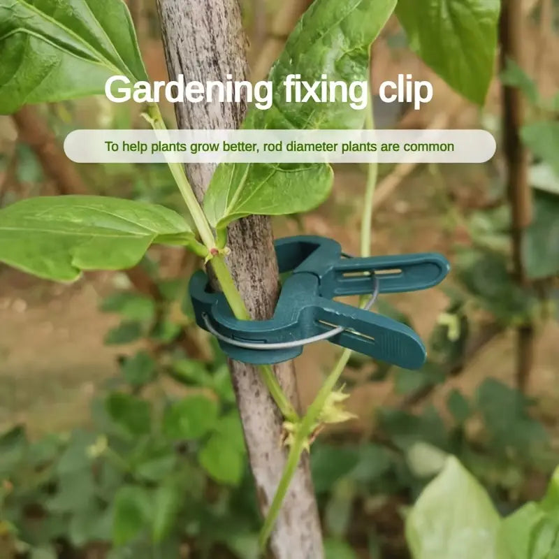 BowLift | Garden clip set – plant loops for plant supports and garden care