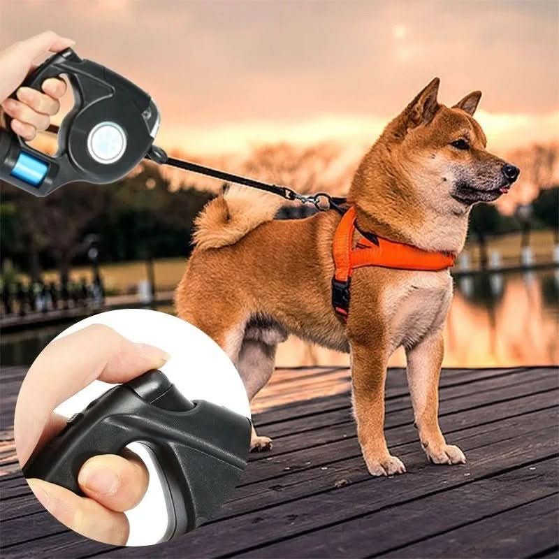 BowLift | AMÉLIE LUMIÈRE – LED dog leash with integrated flashlight for safe evening walks