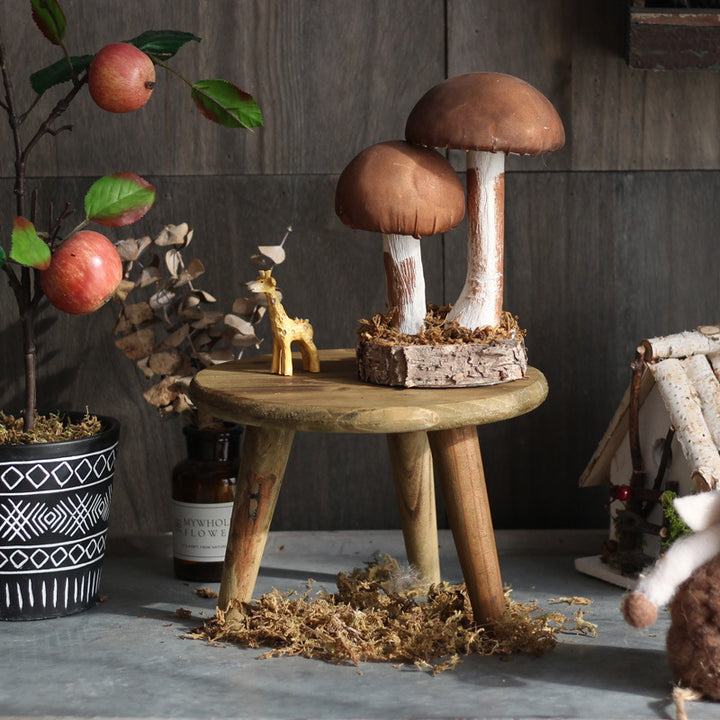 Stylish wooden footstool Bowlift