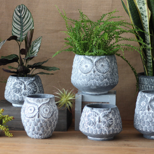 Decorative Owl Ceramic Pot Bowlift