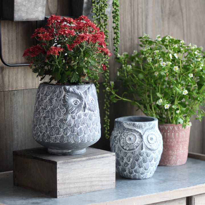 Decorative Owl Ceramic Pot Bowlift