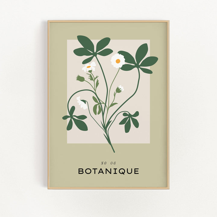 Botanique No. 6 | Bowlift