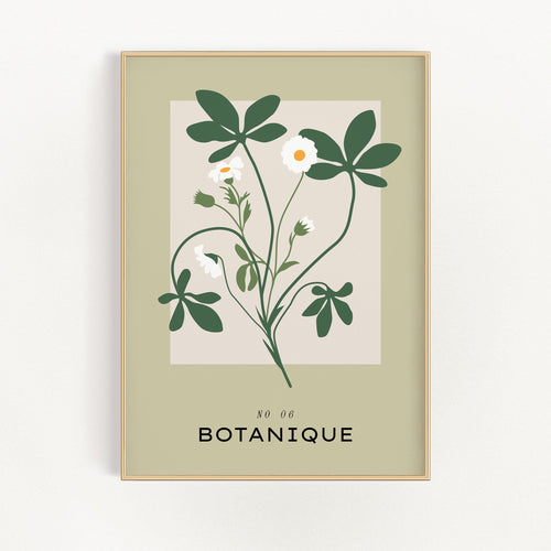 Botanique No. 6 | Bowlift