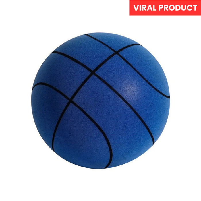 BowLift | SilentHoop Basketball - Play Silently Indoors and Outdoors
