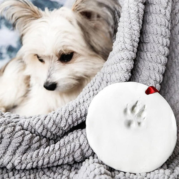 BowLift | Clay Pet Paw Impression Moulding Kit