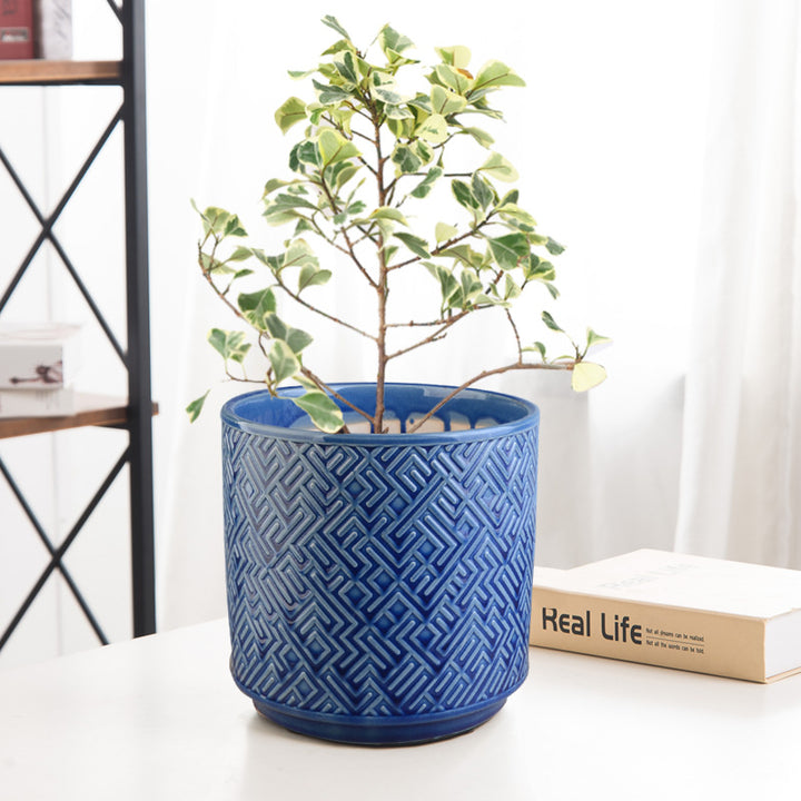 Bowlift Flower Vase