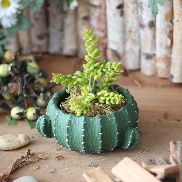 Decorative flower pot in cactus shape Bowlift