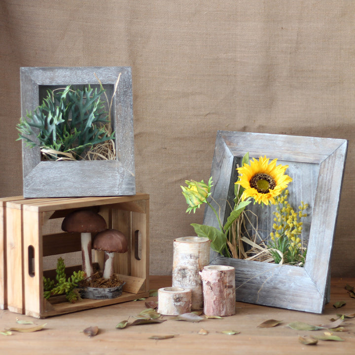 Stylish picture frame Bowlift
