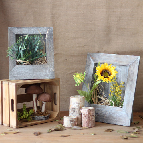 Stylish picture frame Bowlift