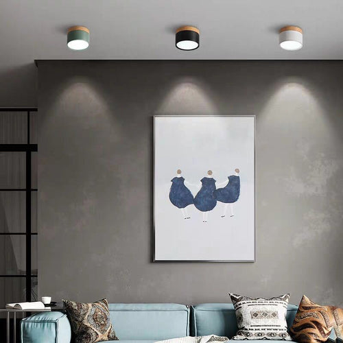 Morandi Style Modern LED Ceiling Lamp - LumiModo | Bowlift