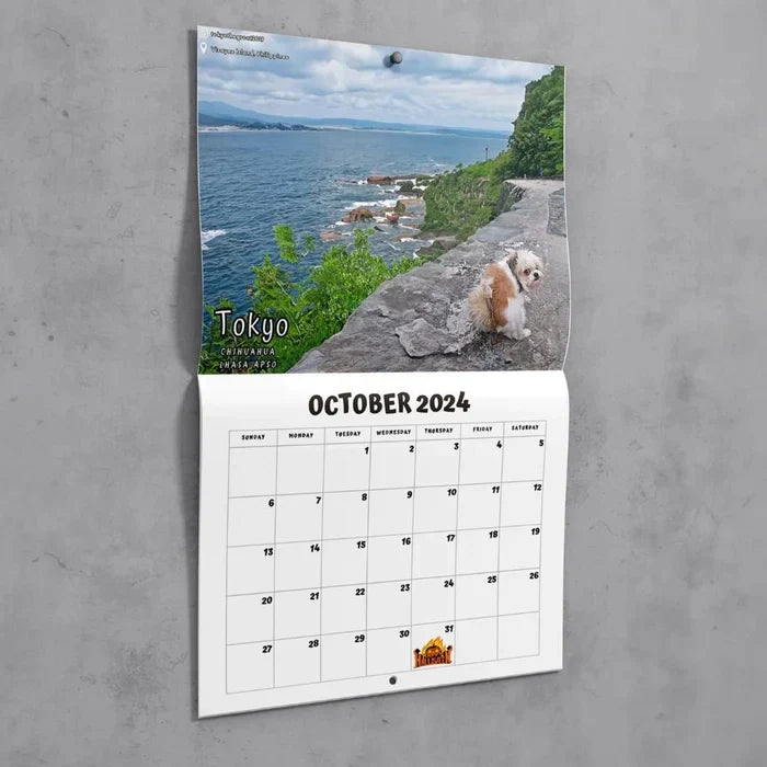 Funniest Calendar-Dogs Pooping in Beautiful Places | "Artistic Expression" of Furry Friends | Bowlift