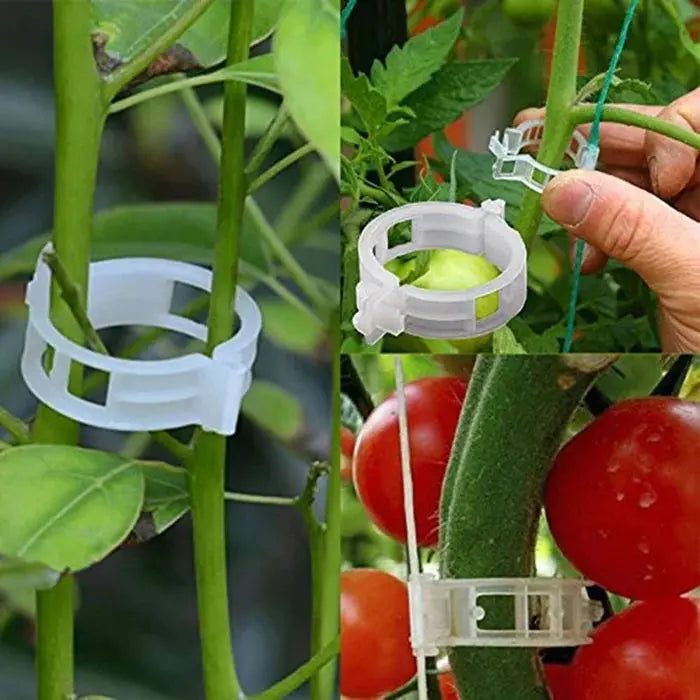 VitaGrip Clips — Strong hold for majestic plants that grow and thrive proudly | Bowlift