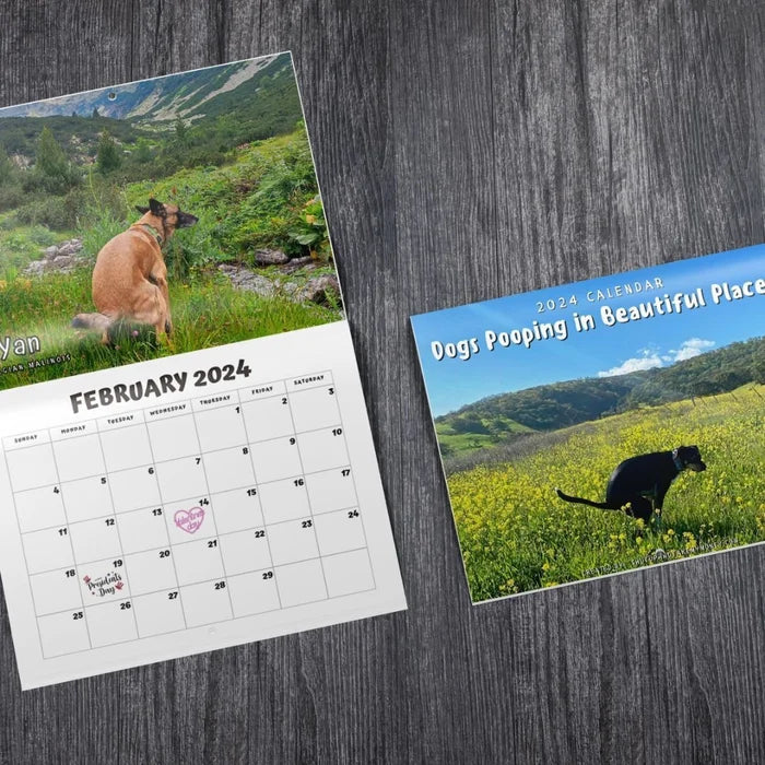 Funniest Calendar-Dogs Pooping in Beautiful Places | "Artistic Expression" of Furry Friends | Bowlift