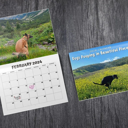 Funniest Calendar-Dogs Pooping in Beautiful Places | 