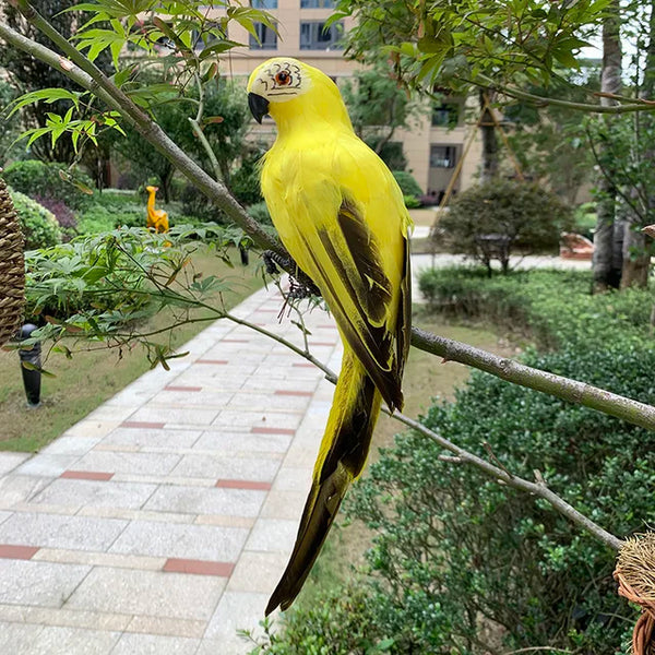 Life Experience Parrot Garden Ornament for Elegant Outdoor Areas Bowlift