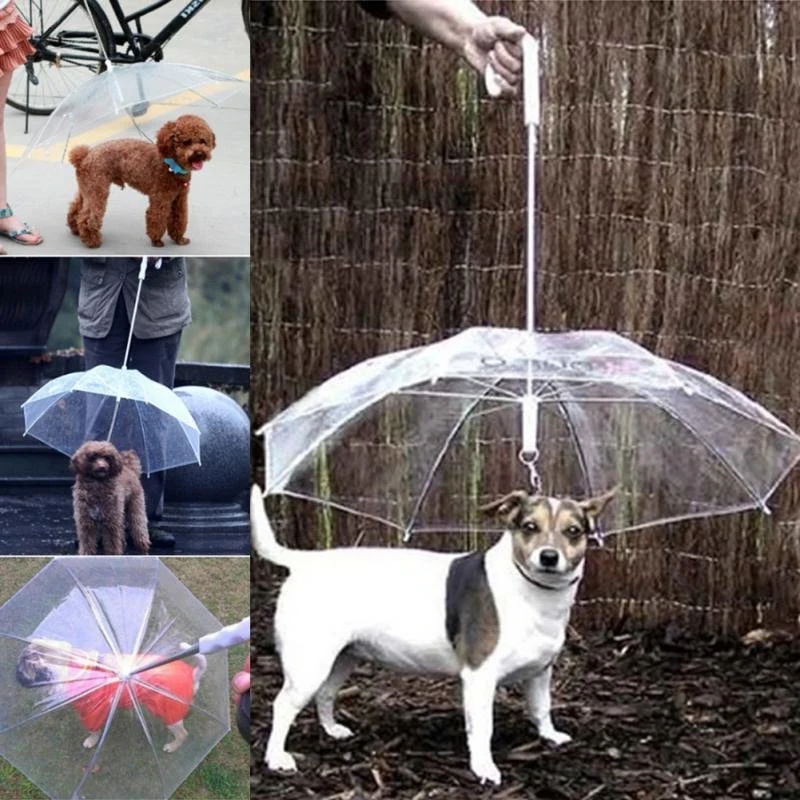 BowLift | Transparent Dog Umbrella