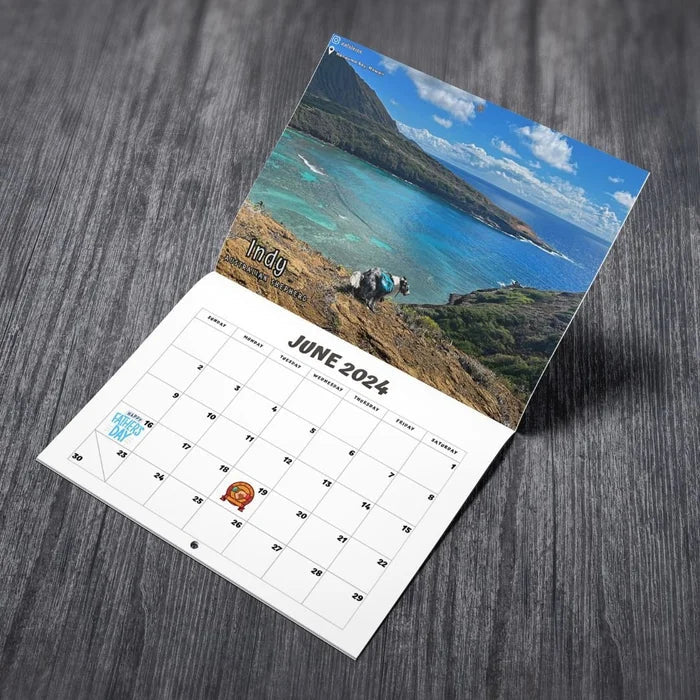 Funniest Calendar-Dogs Pooping in Beautiful Places | "Artistic Expression" of Furry Friends | Bowlift