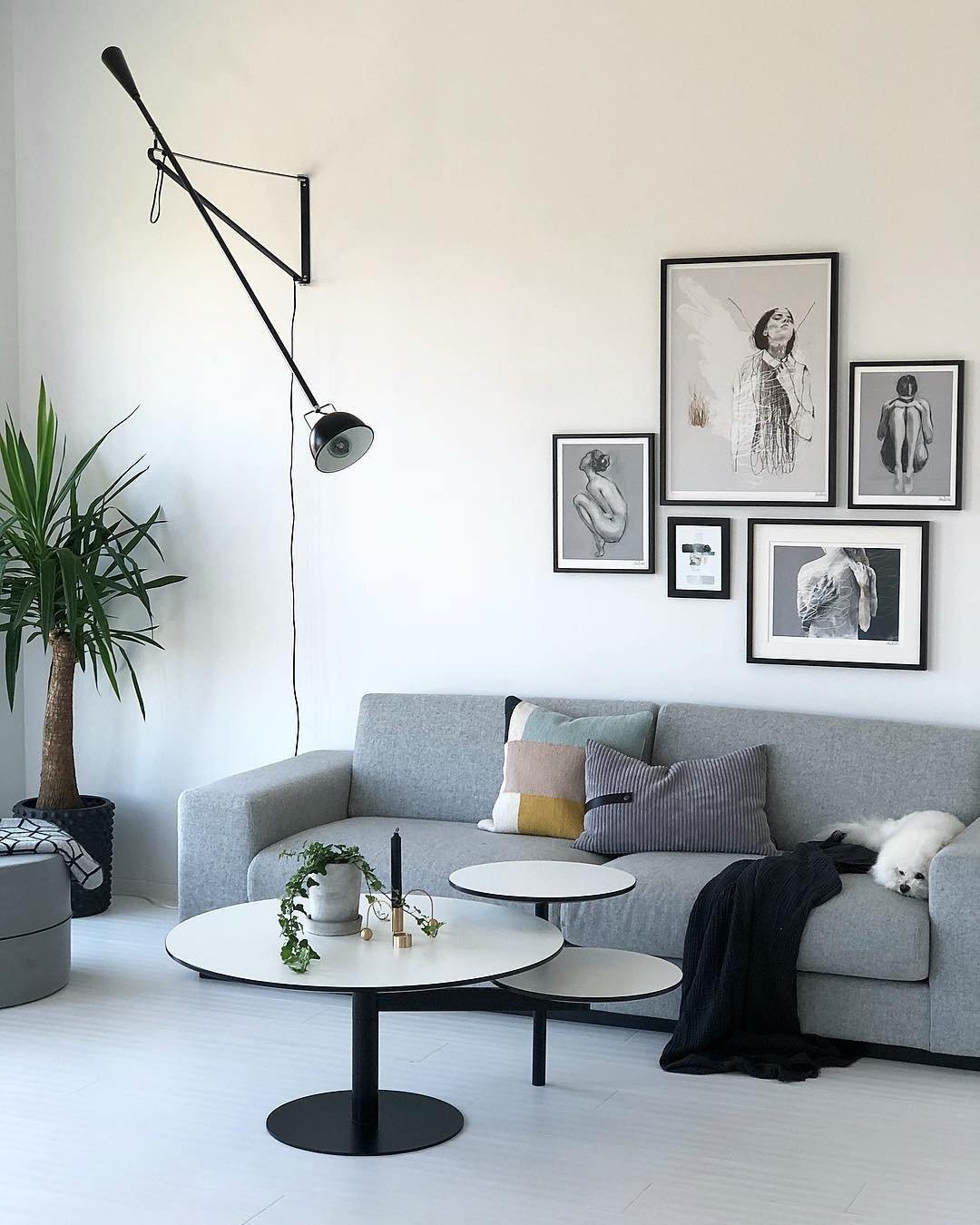 BowLift | Model 265 Wall Lamp