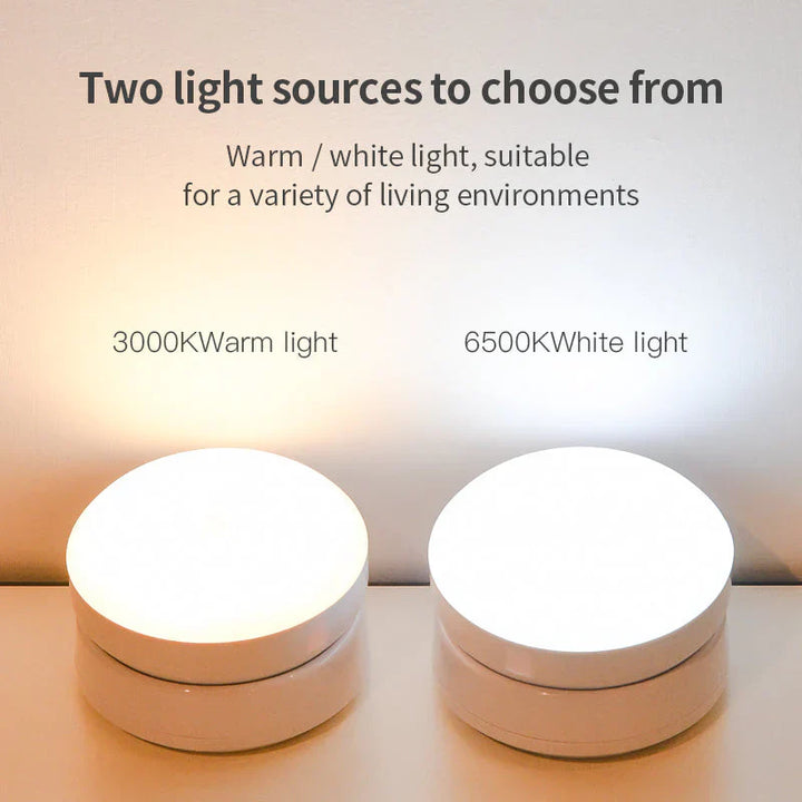 Elegant Motion Sensor Night Light Bowlift