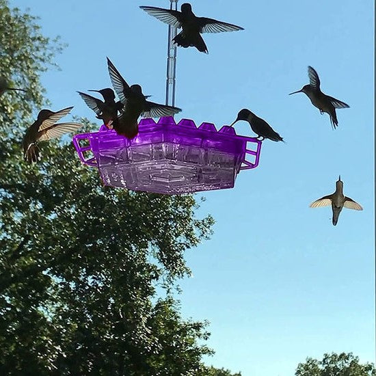 BowLift | Ant Proof Hummingbird Feeder | 30 Feeding Ports, UV Resistant & Ideal for Outdoor Bird Watching