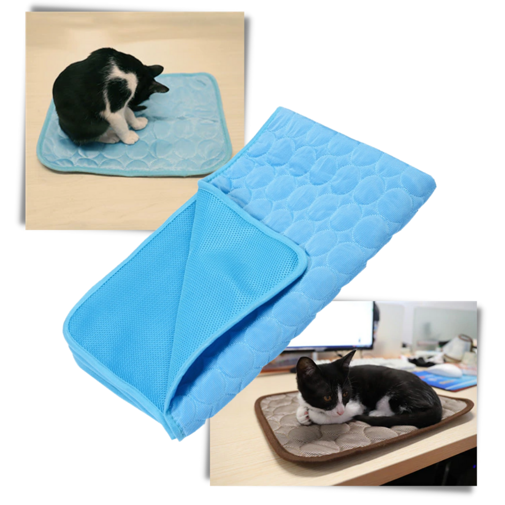 Cooling Mat for Pets | Bowlift