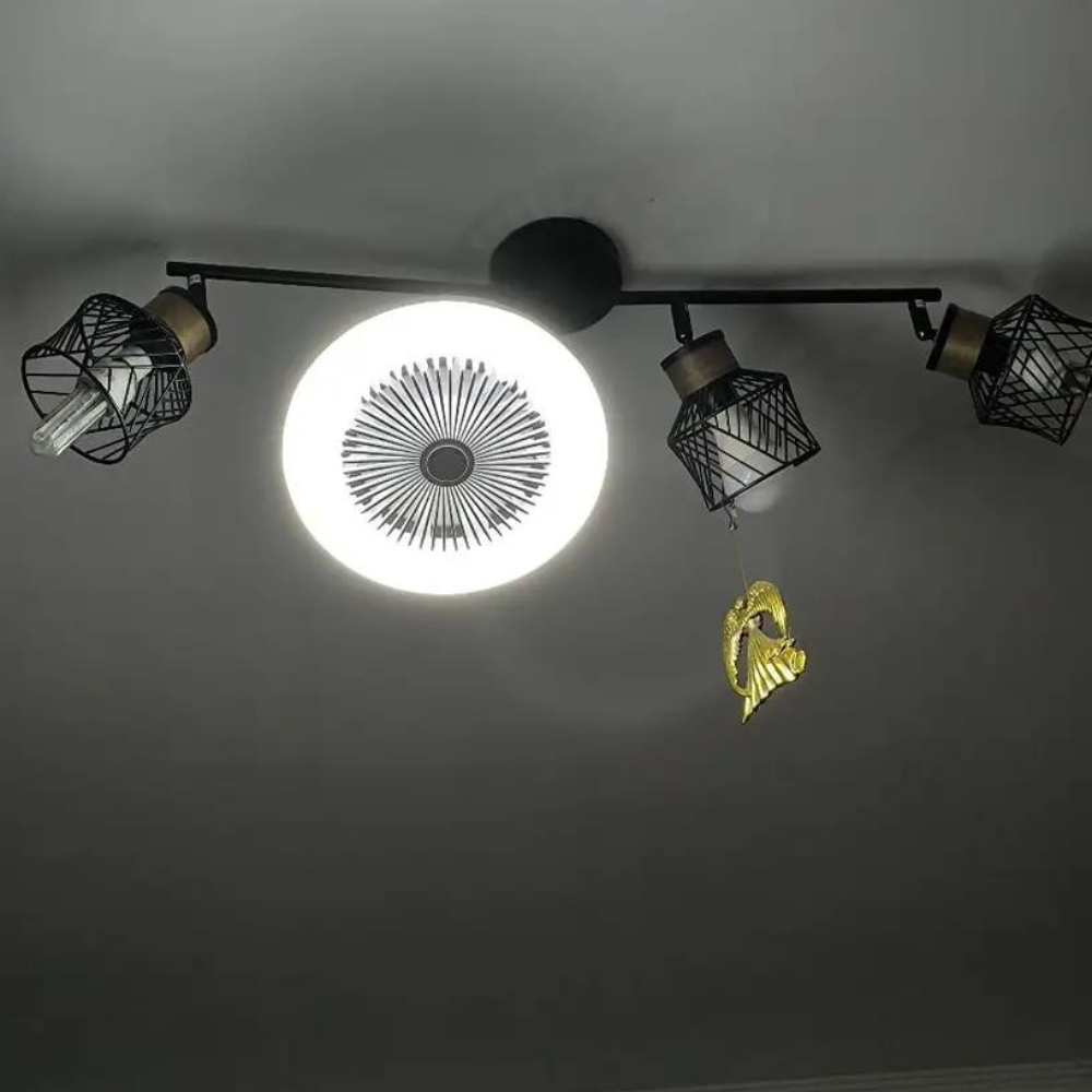 Aromatherapy Bulb Fan | Bowlift